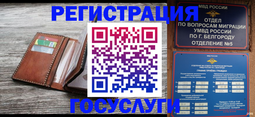 временная регистрация гарантия в Наволоках
